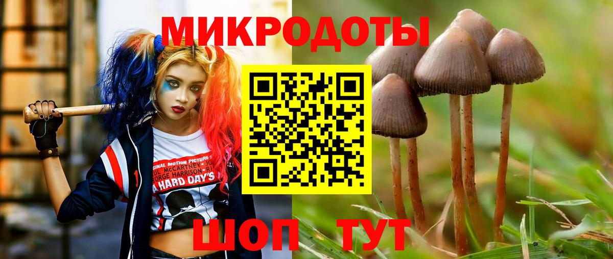 Псилоцибиновые грибы Magic Shrooms Тверь
