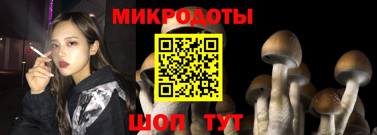 Псилоцибиновые грибы ЛСД  Вход с VPN  Тверь  Псилоцибиновые грибы мухоморы 