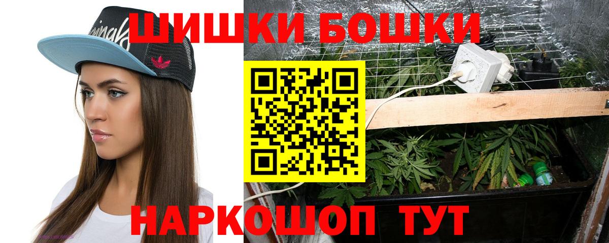 Канабис сатива Тверь